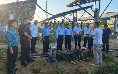 廣東省茂名農墾集團有限公司領導到揭陽農墾調研交流